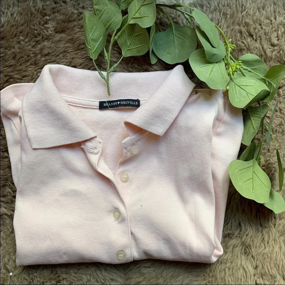 Brandy Melville Caroline Crop Top